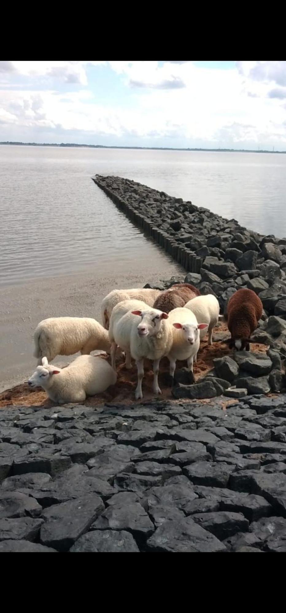 Am Alten Siel Wilhelmshaven Esterno foto